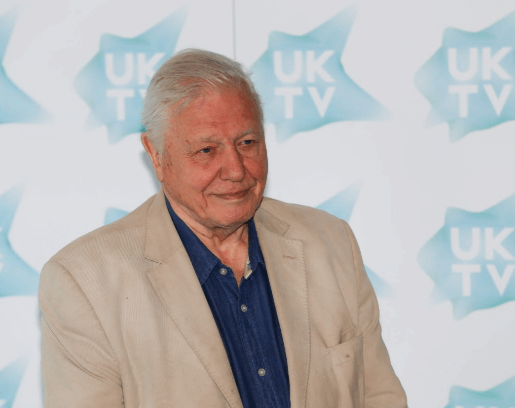 David Attenborough Net Worth