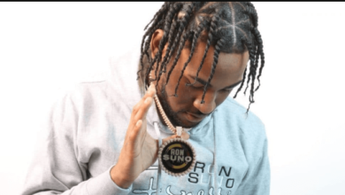 Ron Suno Net Worth