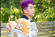 LankyBox Net Worth