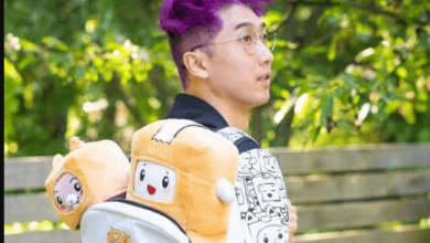 LankyBox Net Worth