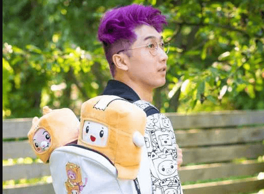 LankyBox Net Worth